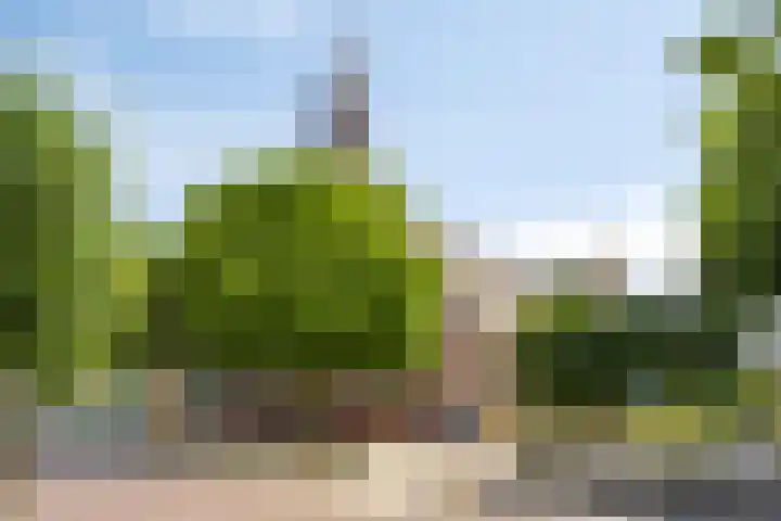 Dreef 23 Made thumbnail 37