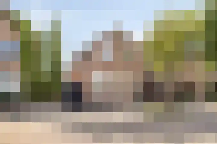 Dreef 23 Made thumbnail 4