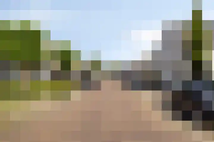 Dreef 23 Made thumbnail 5