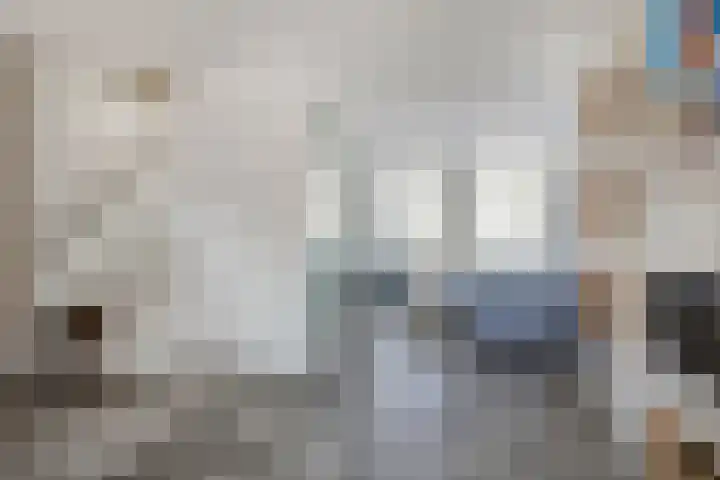 Dreef 23 Made thumbnail 6