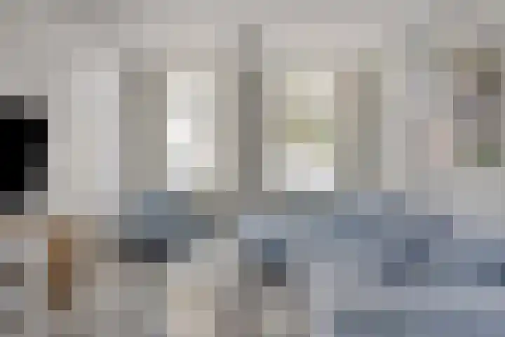 Dreef 23 Made thumbnail 7