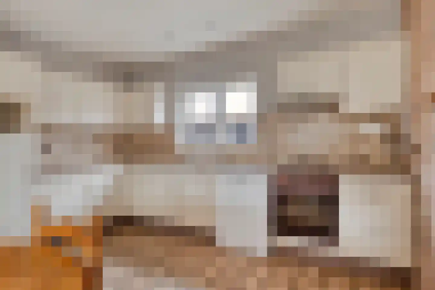 Dreef 25 Lamswaarde thumbnail 14