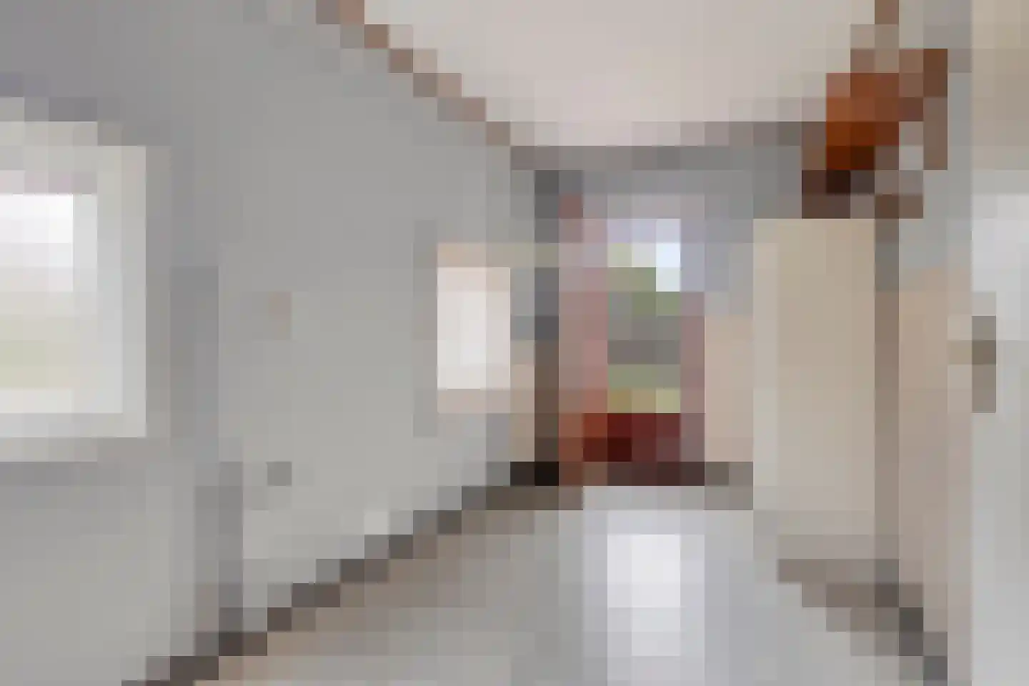 Dreef 25 Lamswaarde thumbnail 15