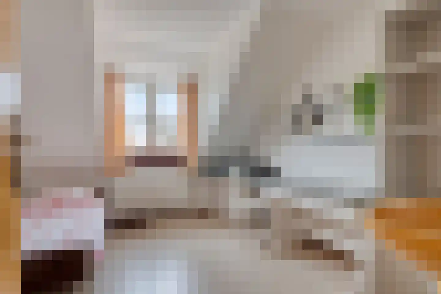Dreef 25 Lamswaarde thumbnail 21