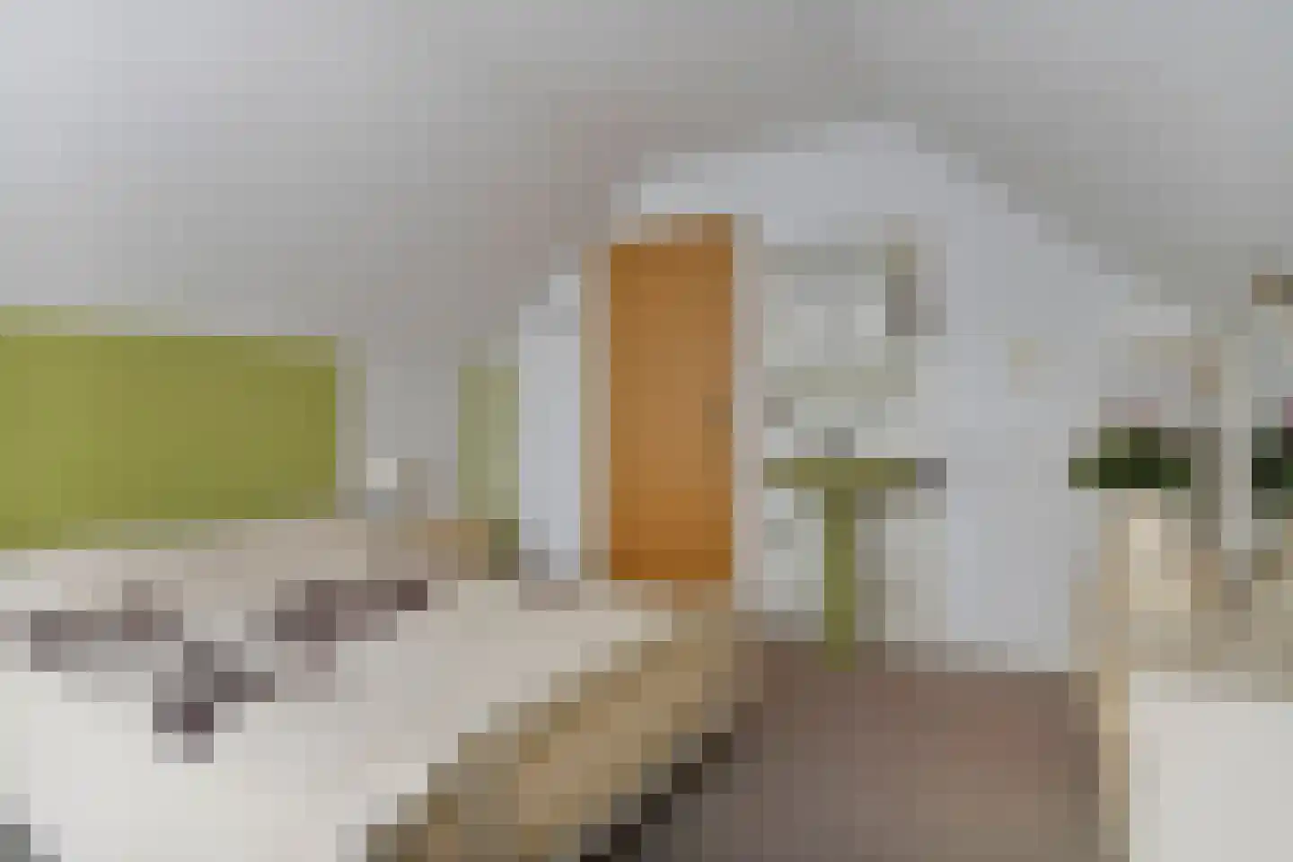Dreef 25 Lamswaarde thumbnail 22