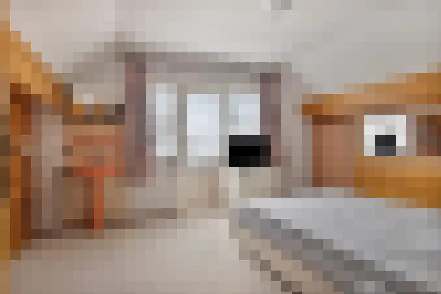 Dreef 25 Lamswaarde thumbnail 25