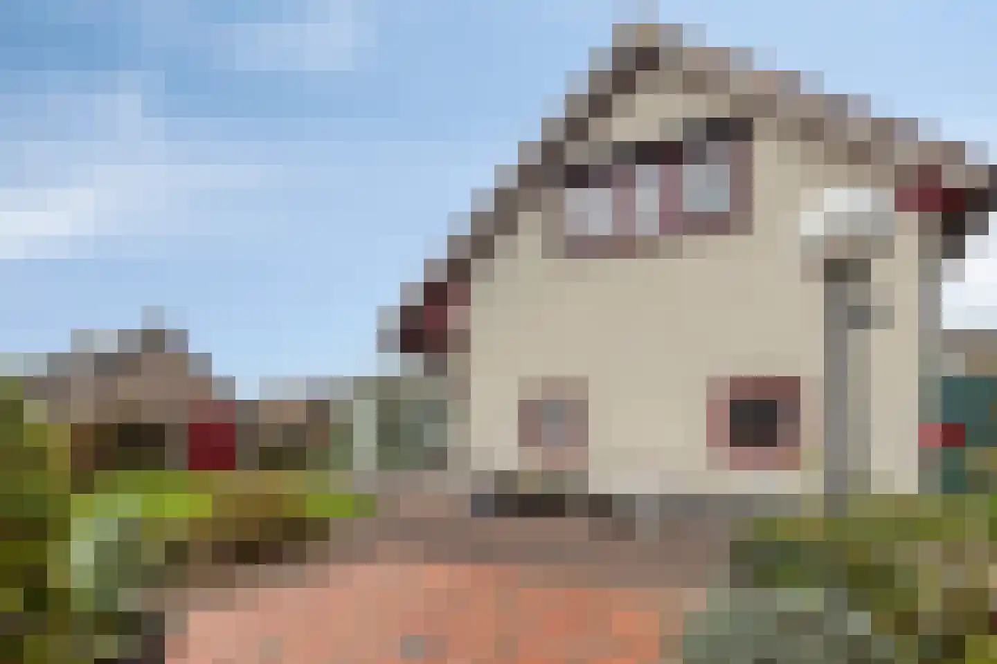 Dreef 25 Lamswaarde thumbnail 28