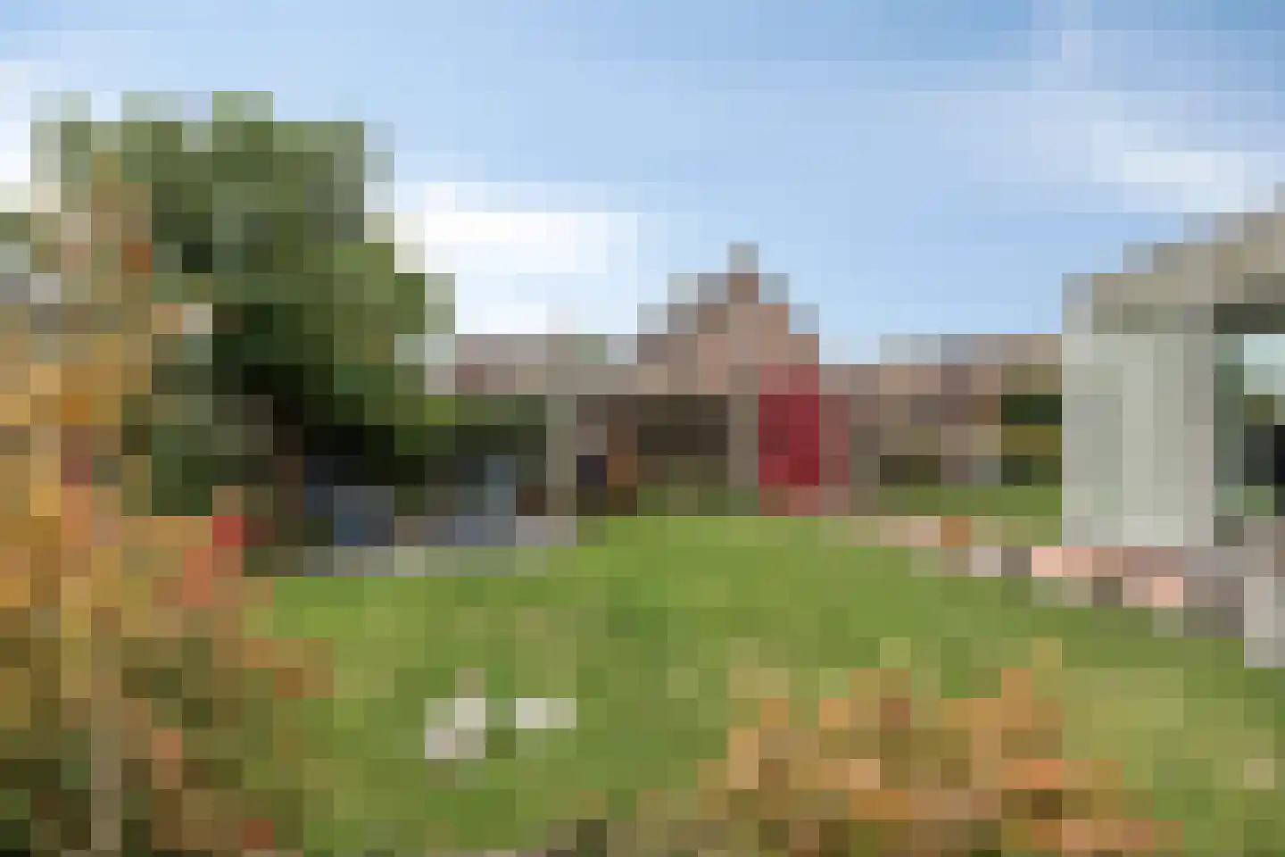 Dreef 25 Lamswaarde thumbnail 30