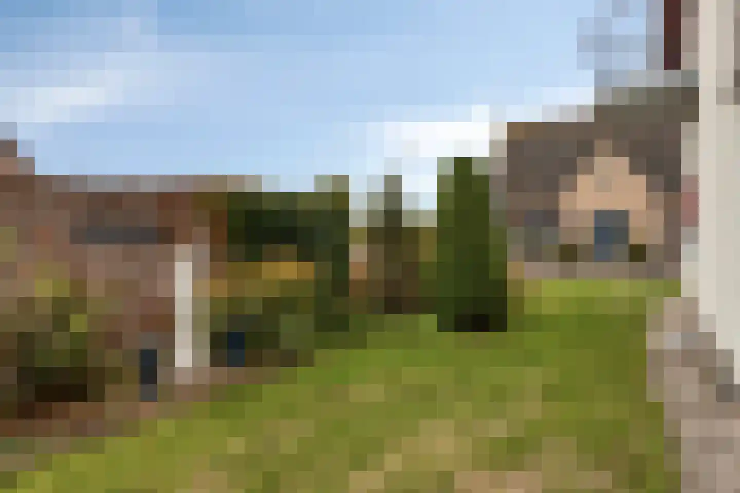 Dreef 25 Lamswaarde thumbnail 32