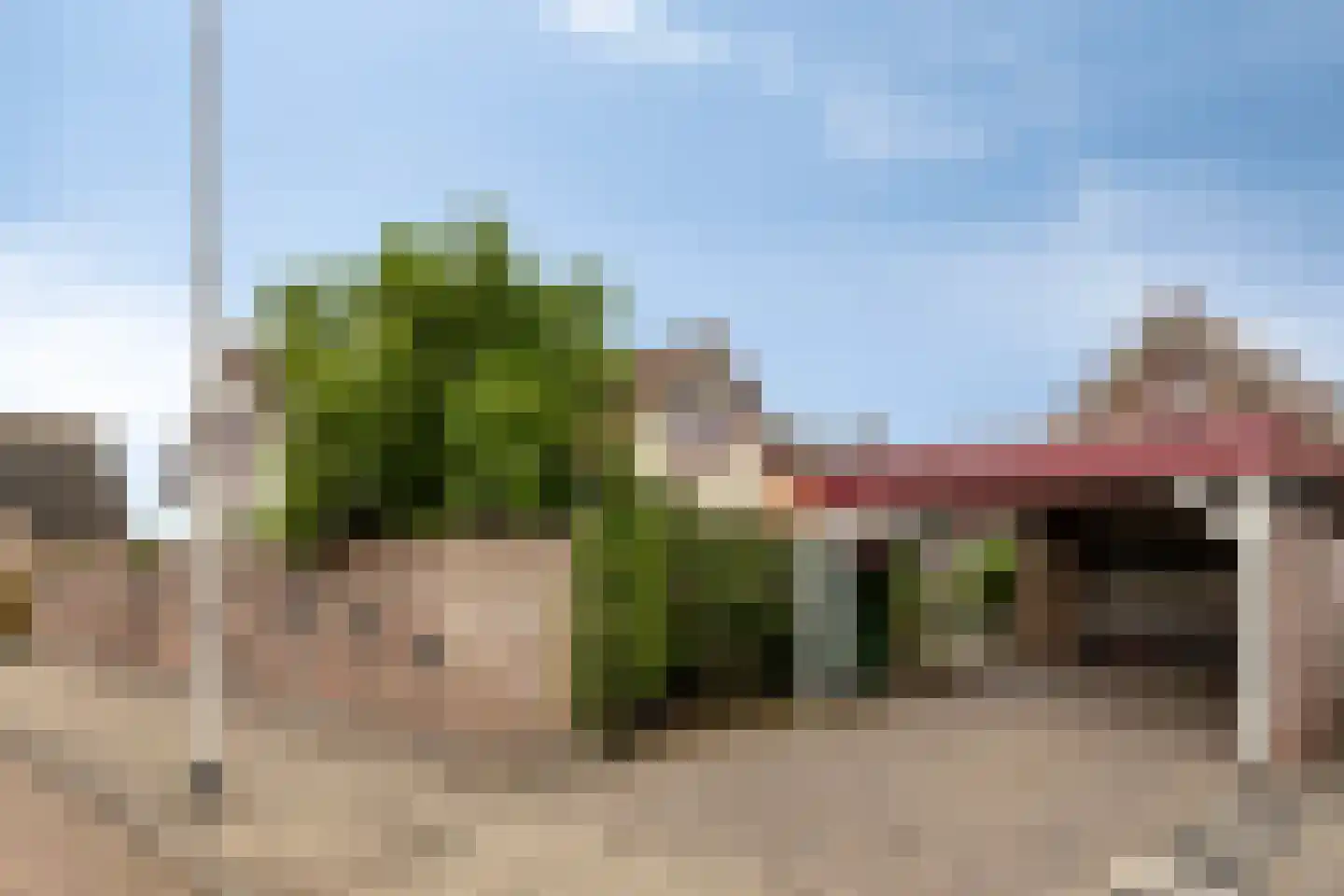 Dreef 25 Lamswaarde thumbnail 33