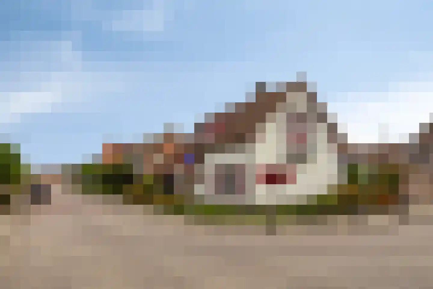 Dreef 25 Lamswaarde thumbnail 34