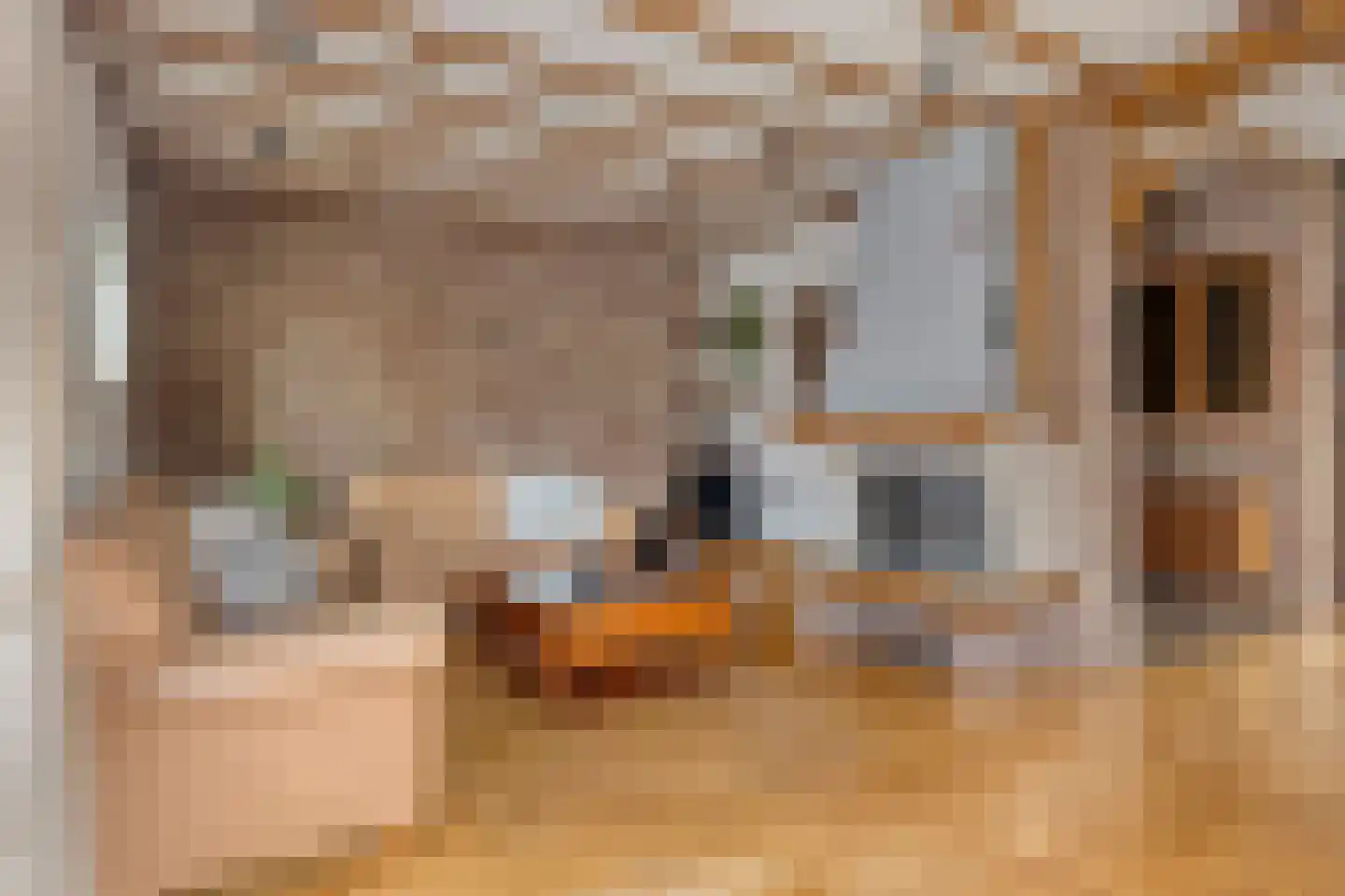 Dreef 25 Lamswaarde thumbnail 4