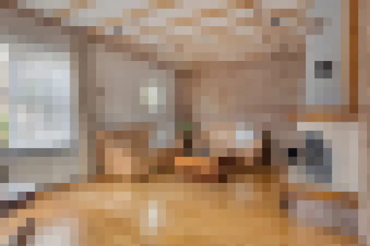 Dreef 25 Lamswaarde thumbnail 5