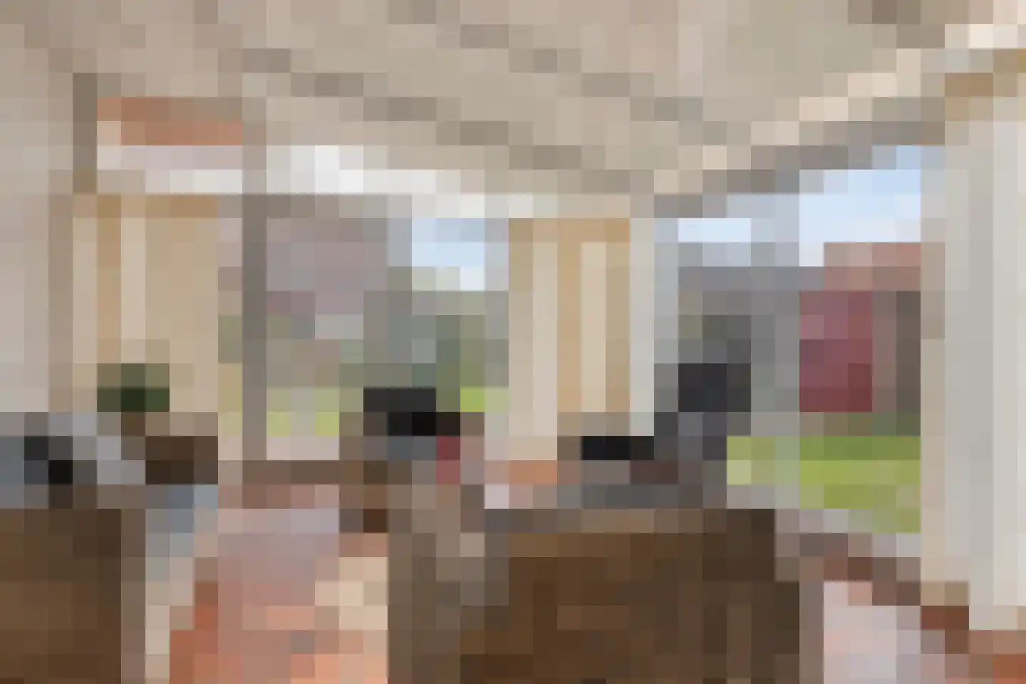 Dreef 25 Lamswaarde thumbnail 9
