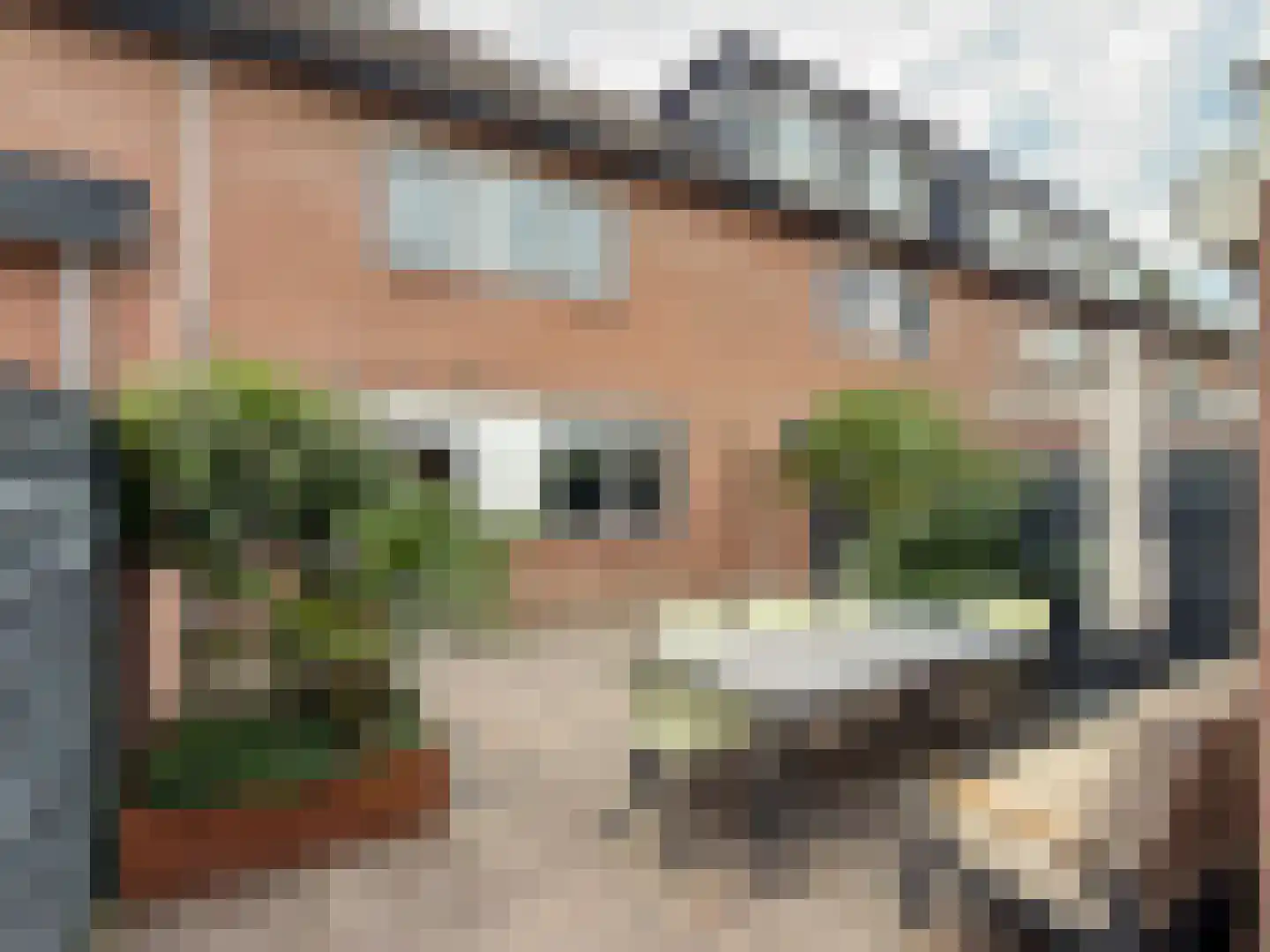 Dreef 25 Leersum foto 3