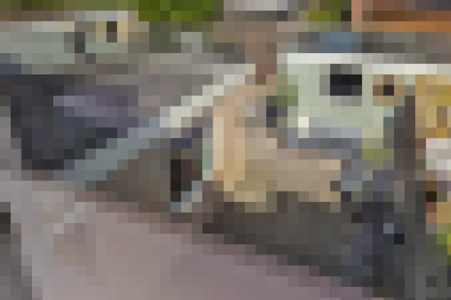 Dreef 25 't Veld thumbnail 24