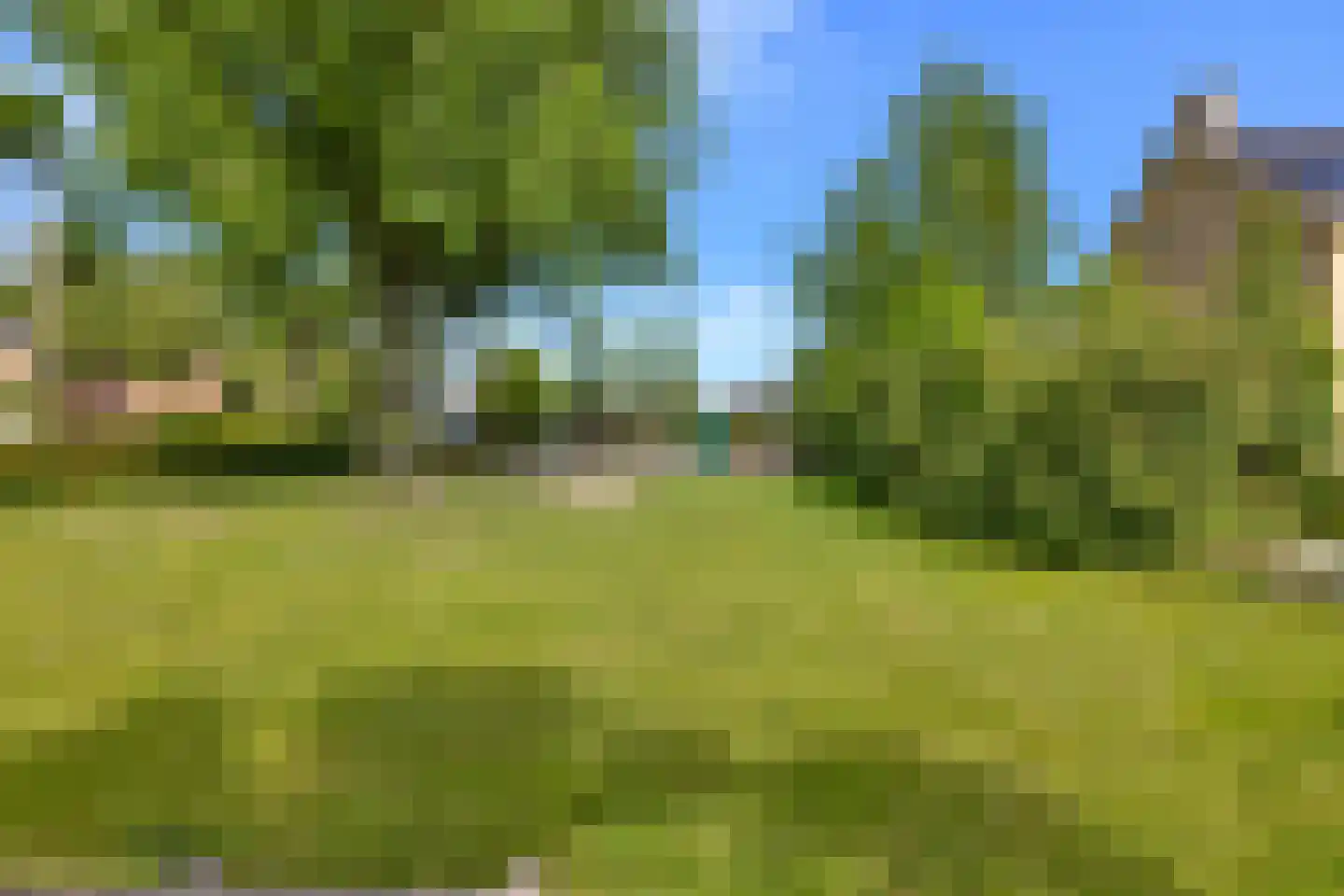 Dreef 25 't Veld thumbnail 36