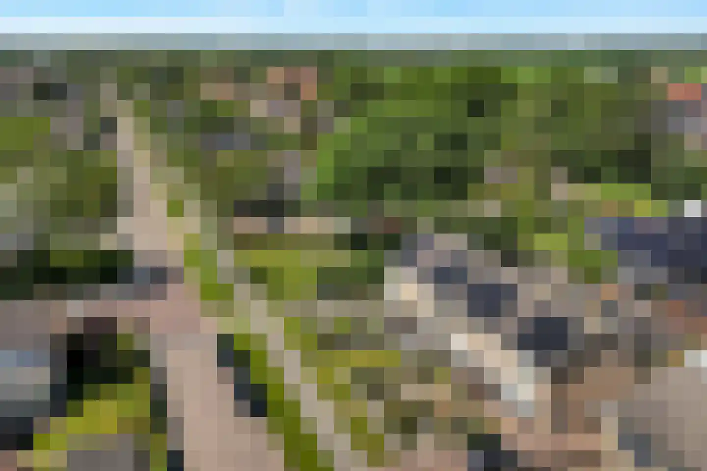 Dreef 25 't Veld thumbnail 37