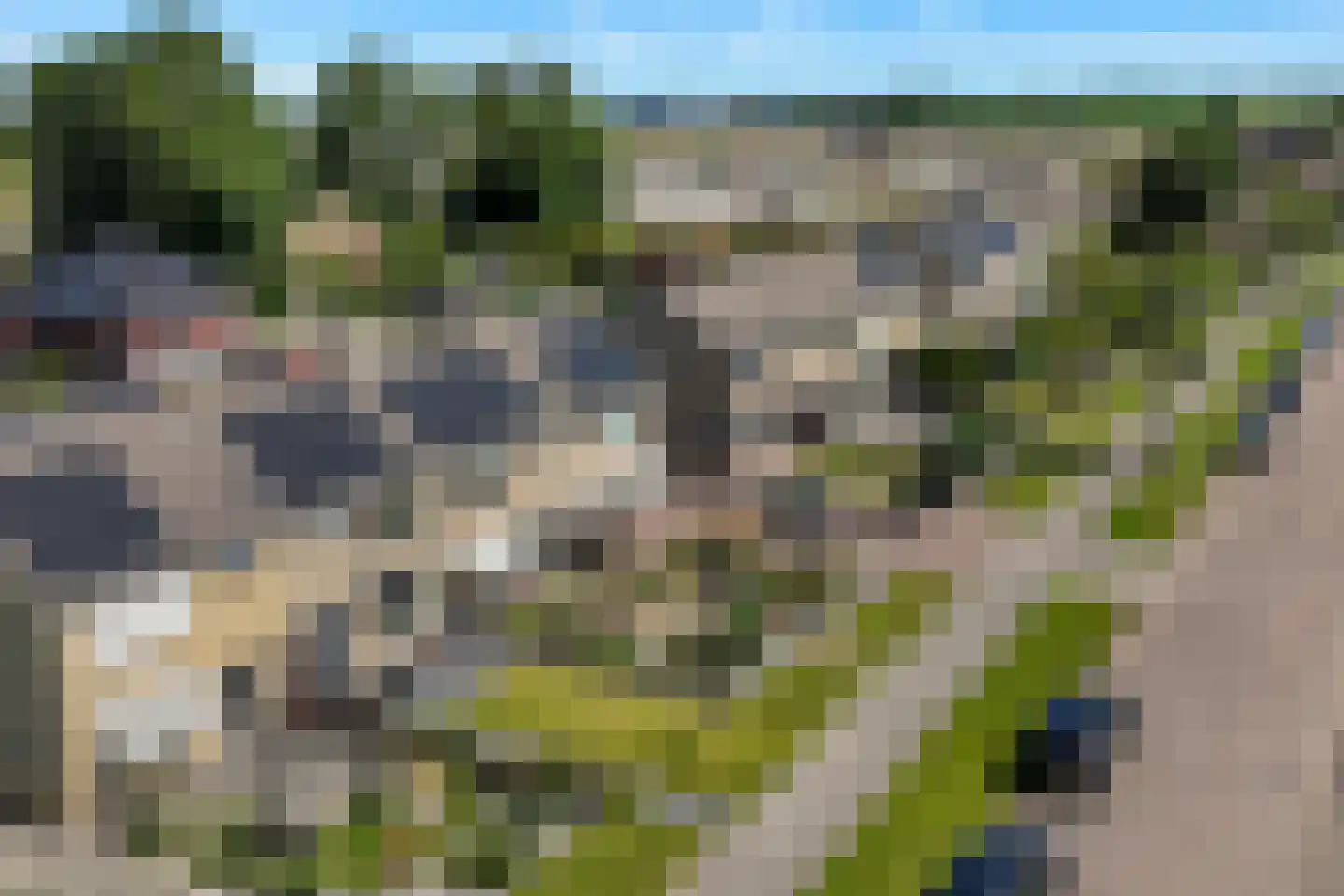 Dreef 25 't Veld thumbnail 5