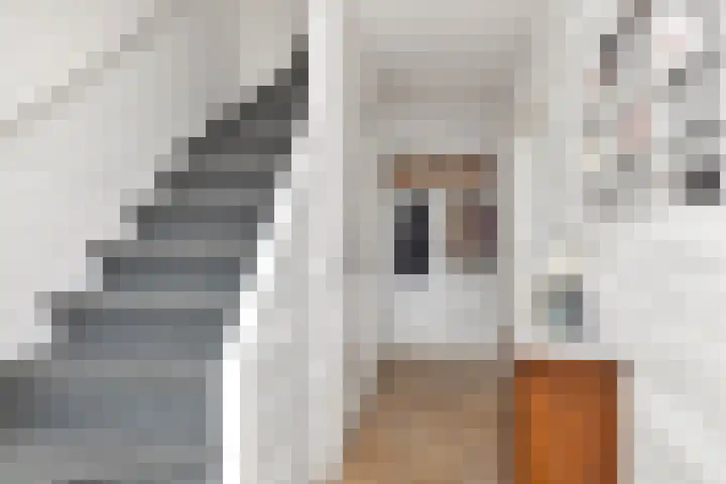 Dreef 25 't Veld thumbnail 8