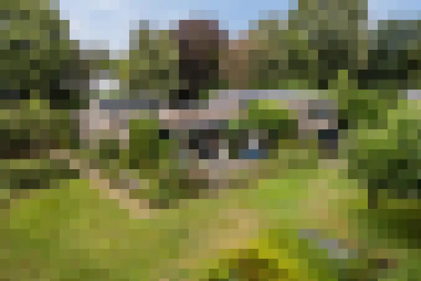 Dreef 26 Eersel