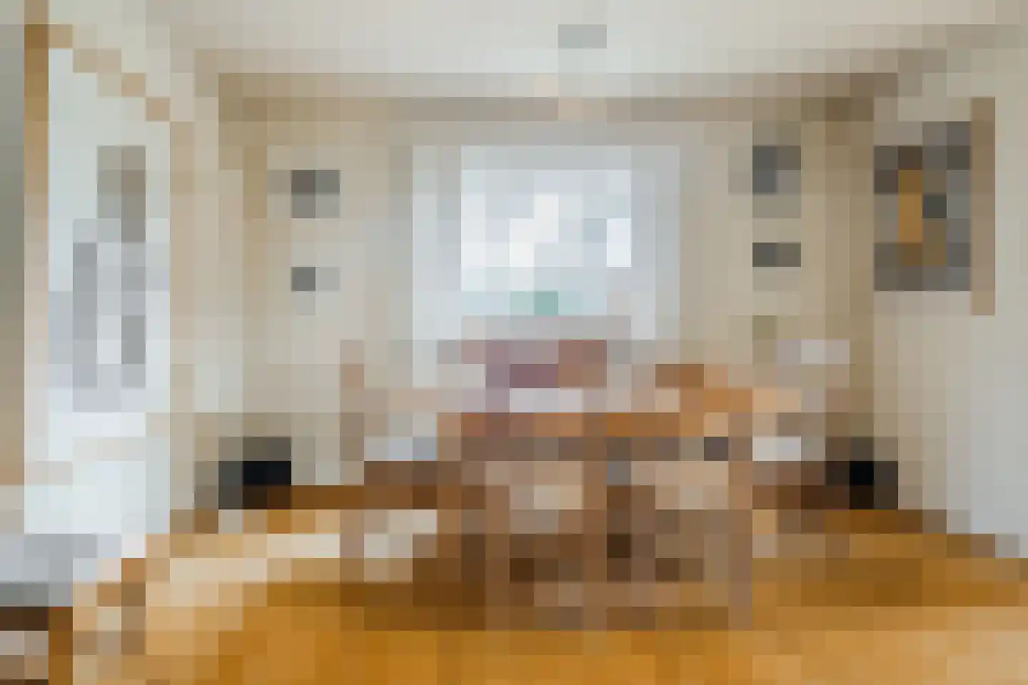 Dreef 26 Eersel thumbnail 10
