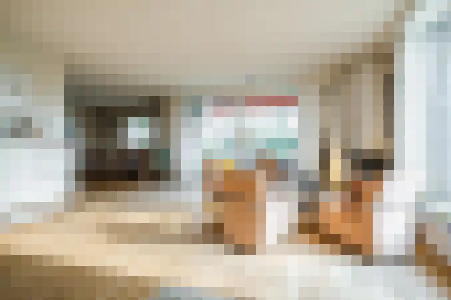 Dreef 26 Eersel thumbnail 12