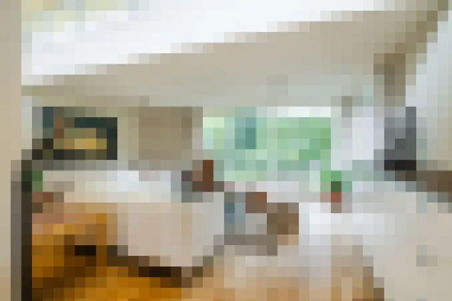 Dreef 26 Eersel thumbnail 16