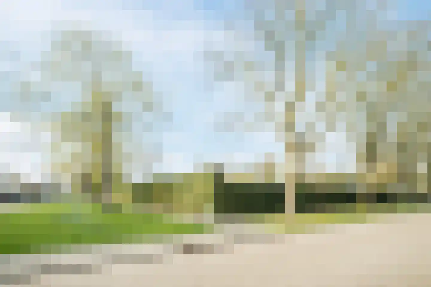 Dreef 26 Eersel foto 2