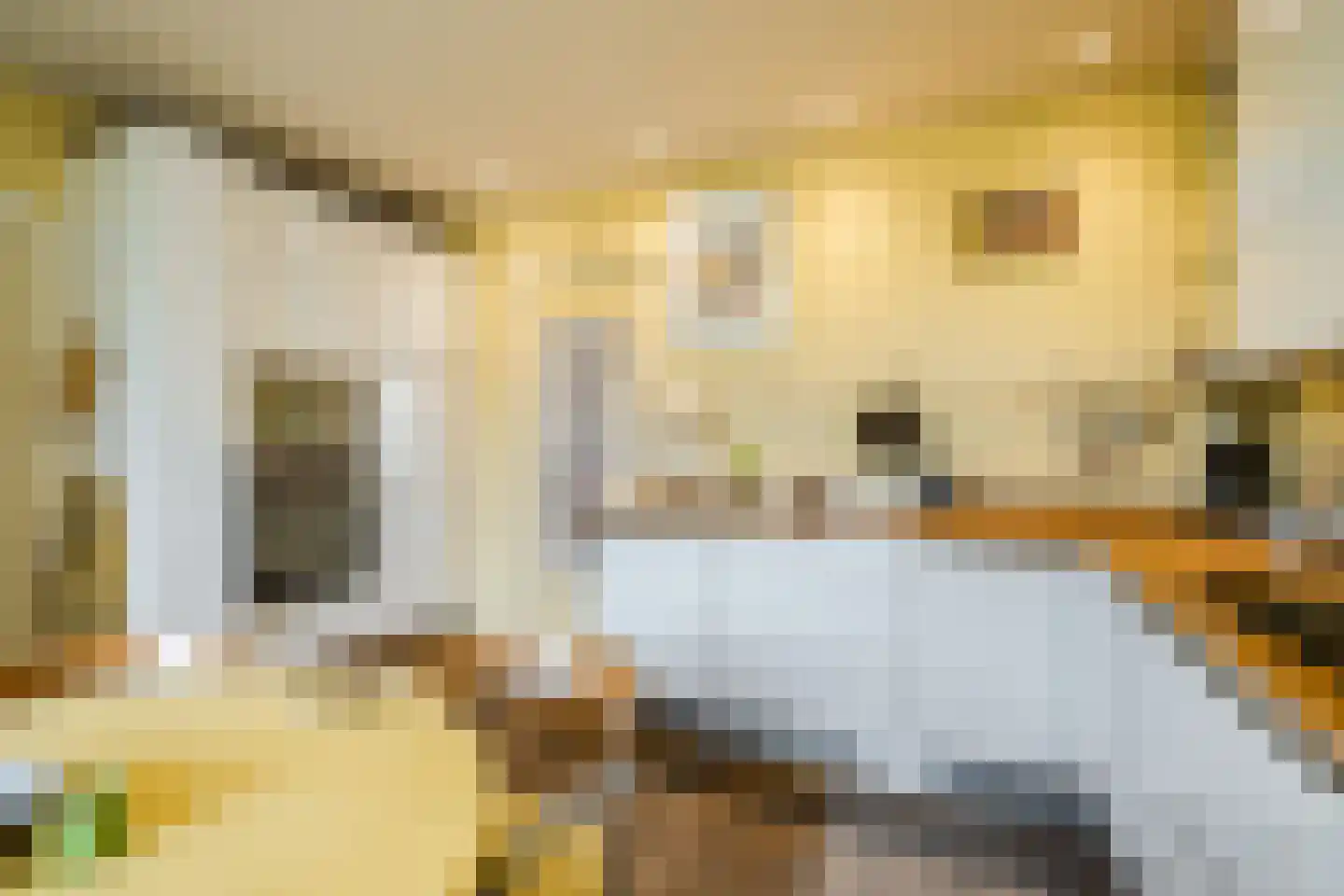 Dreef 26 Eersel thumbnail 22