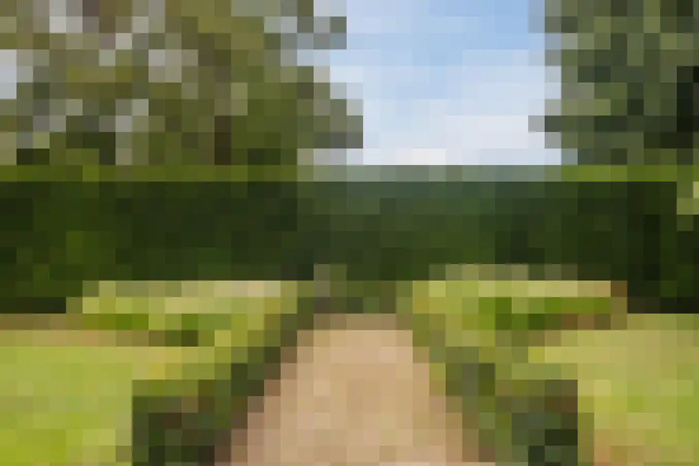 Dreef 26 Eersel thumbnail 31
