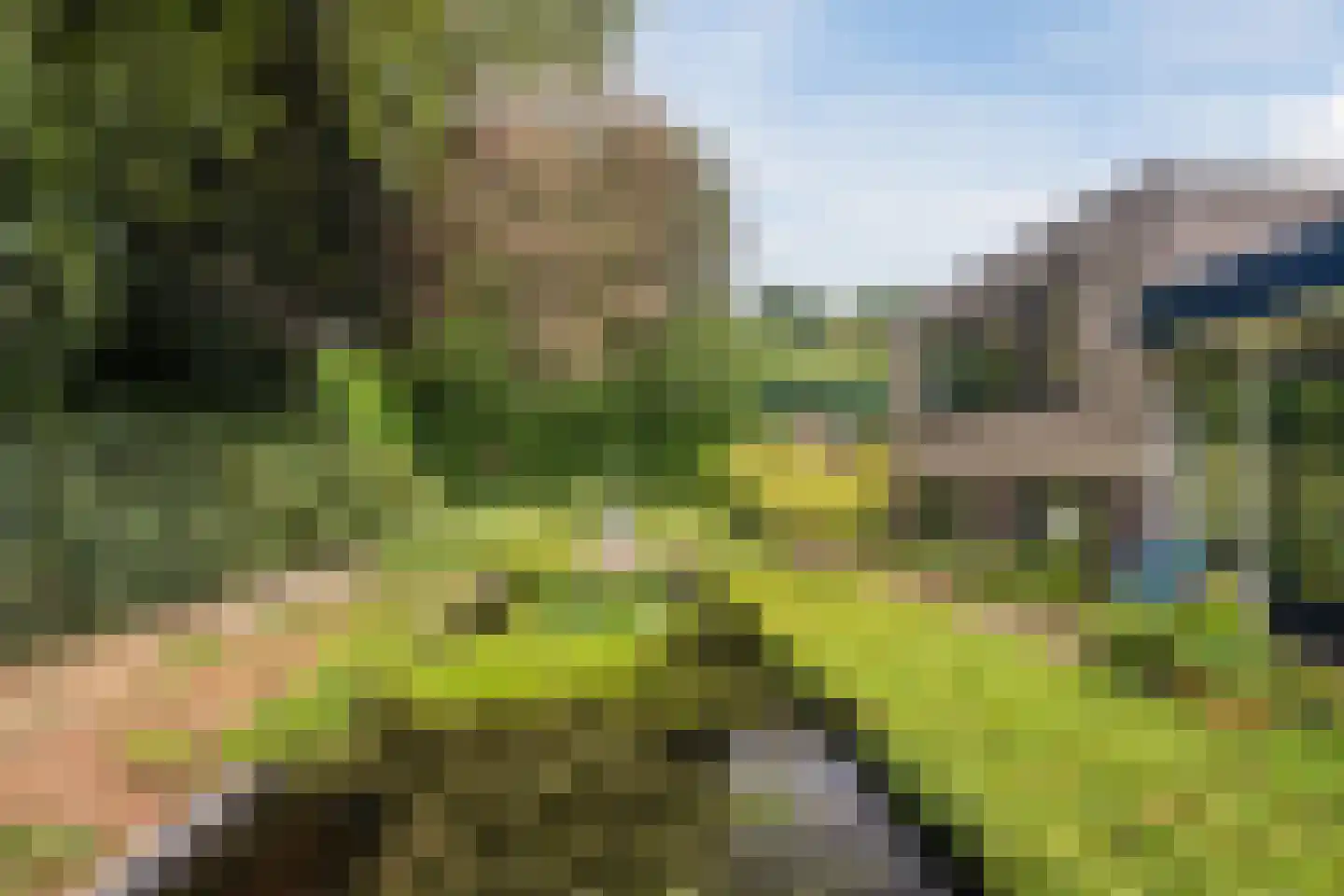 Dreef 26 Eersel thumbnail 33