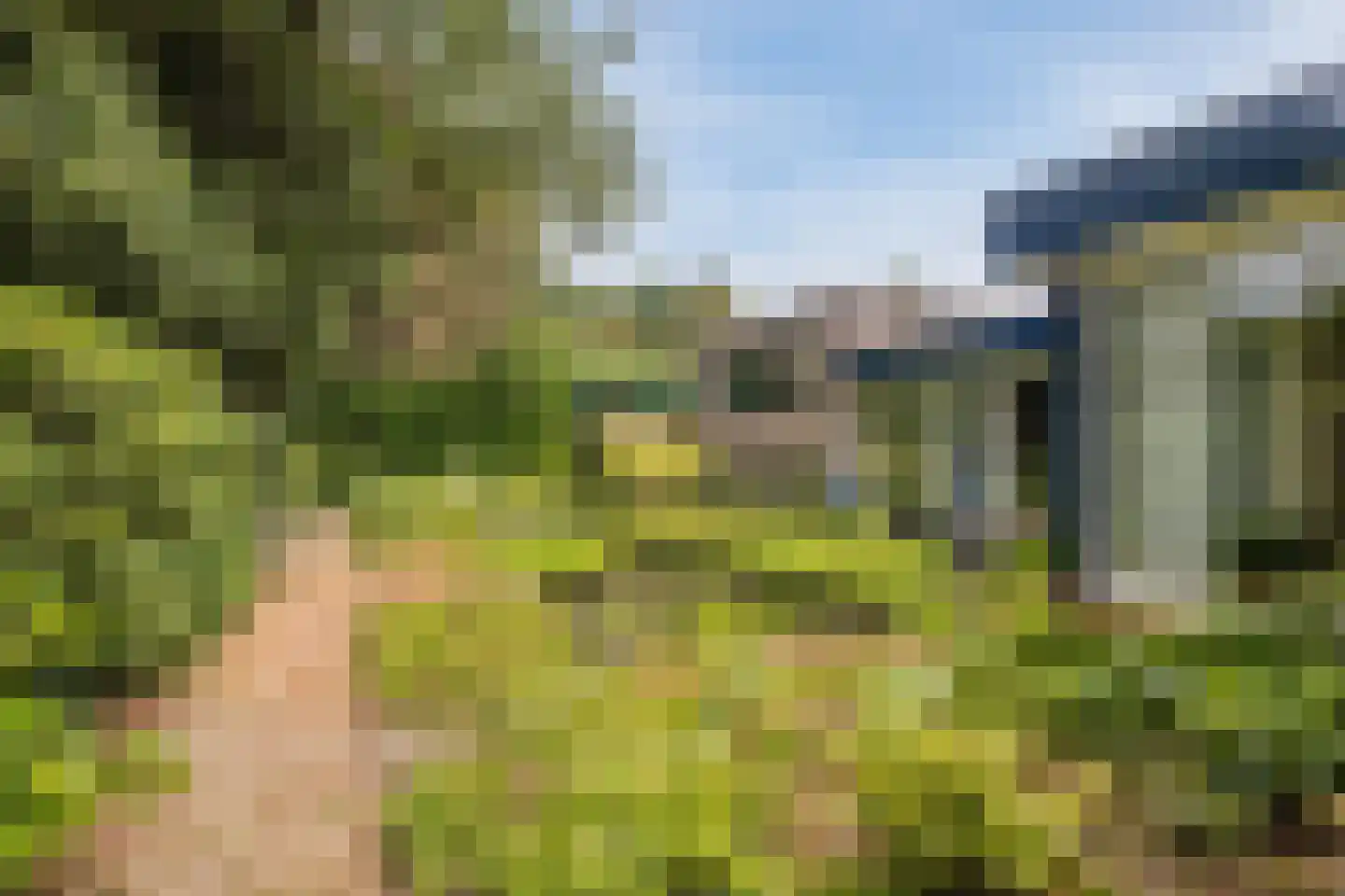 Dreef 26 Eersel thumbnail 34