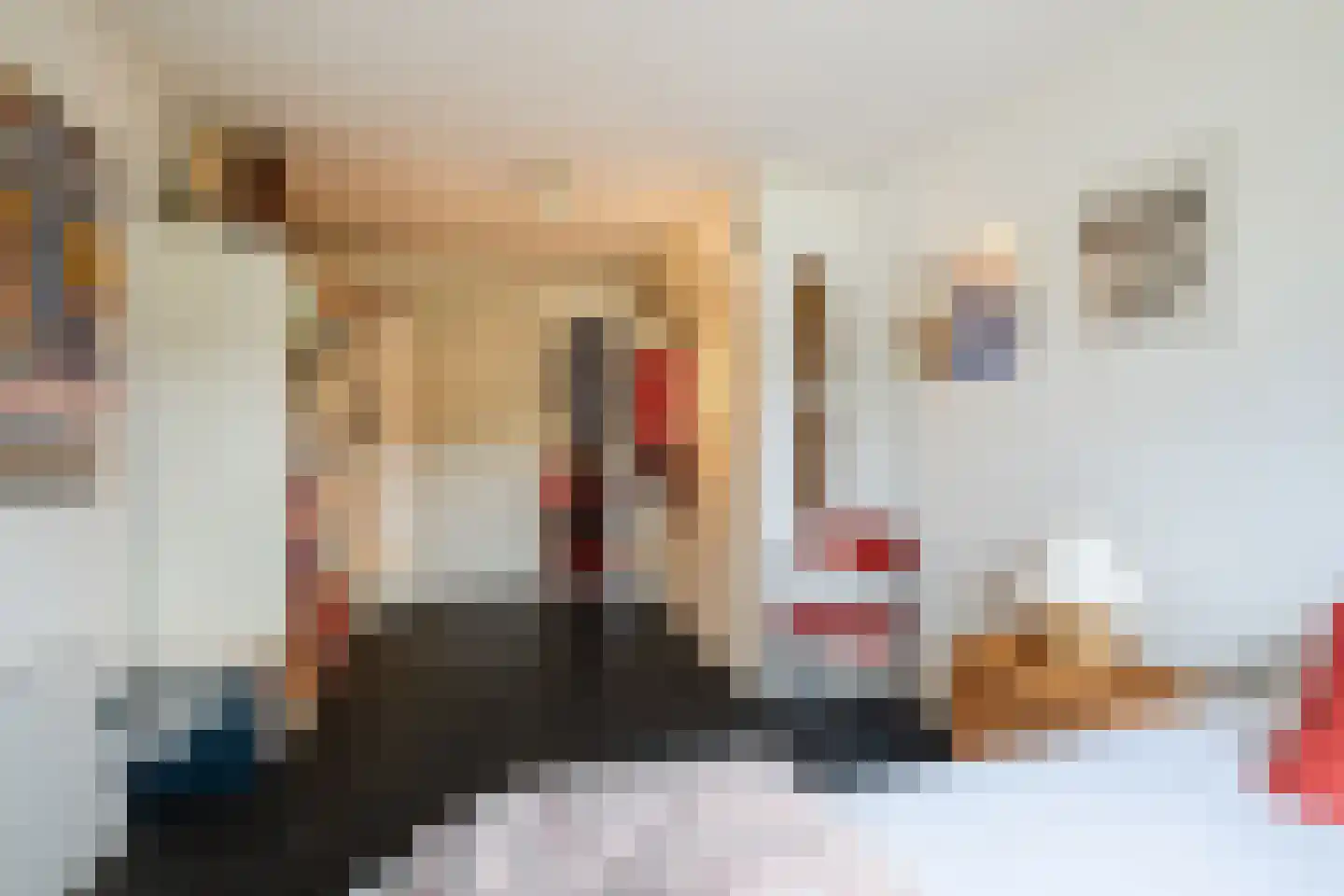 Dreef 26 Eersel thumbnail 36