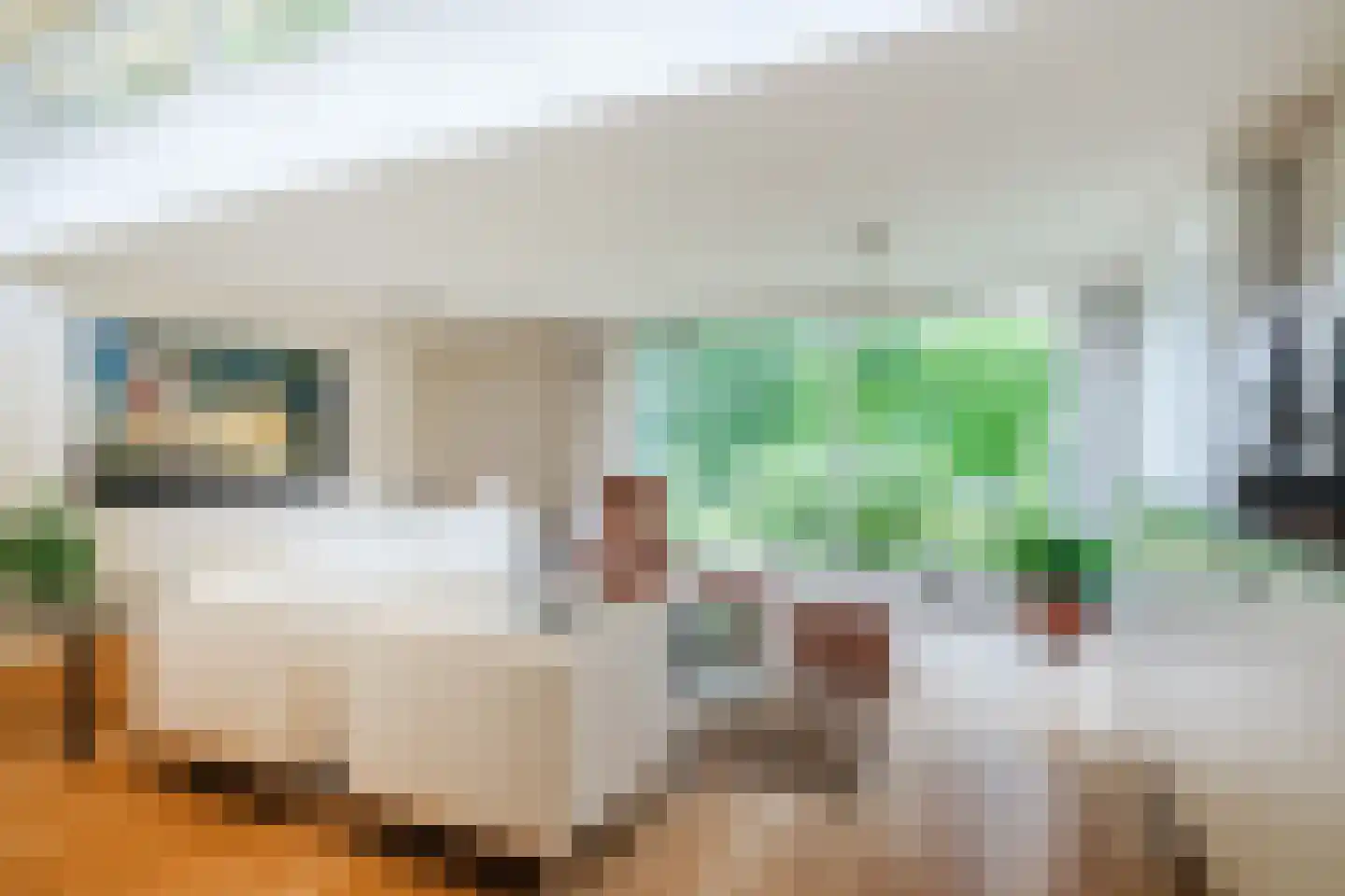 Dreef 26 Eersel thumbnail 4