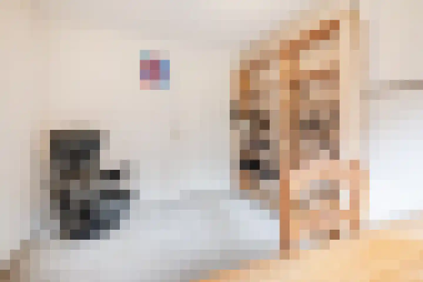 Dreef 26 Eersel thumbnail 44