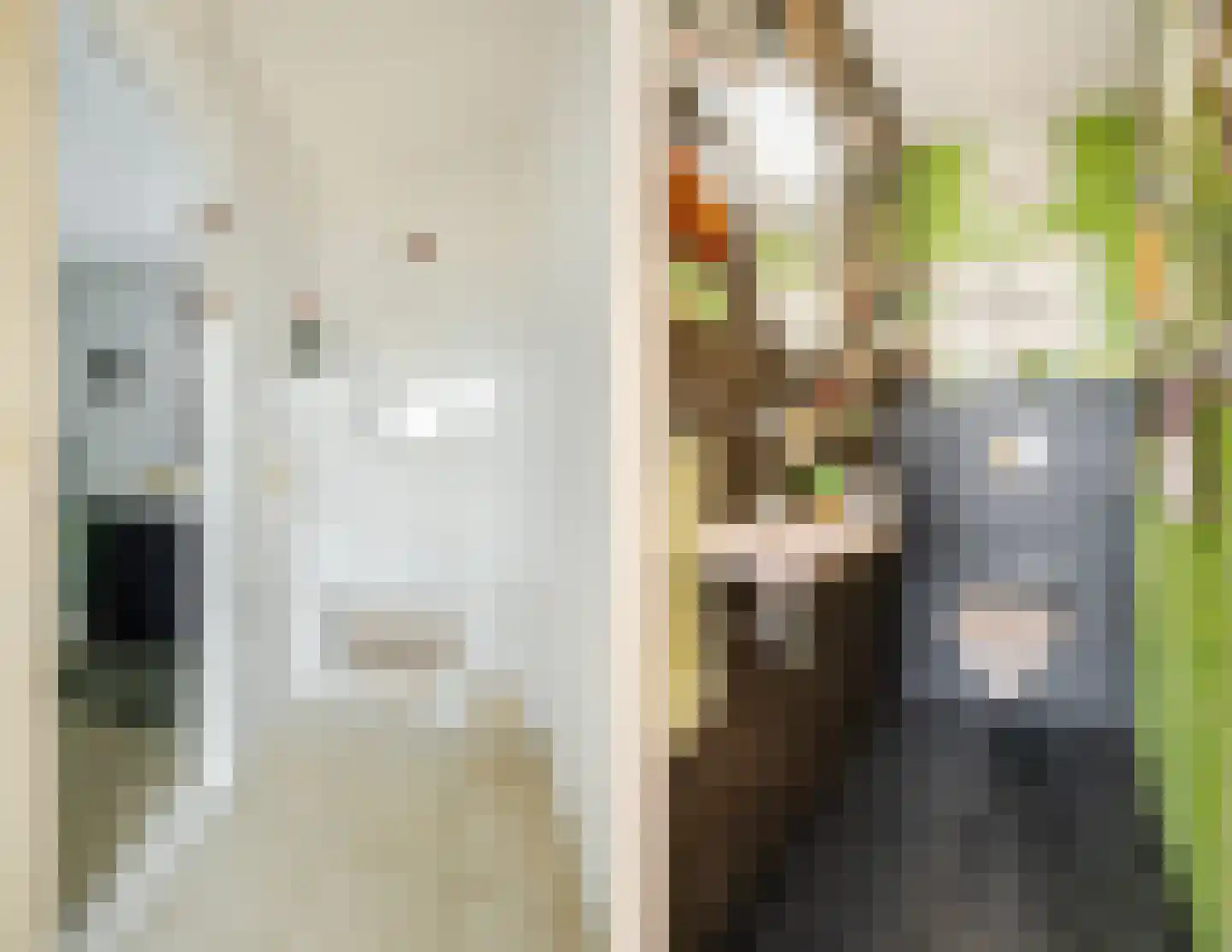 Dreef 26 Eersel thumbnail 45