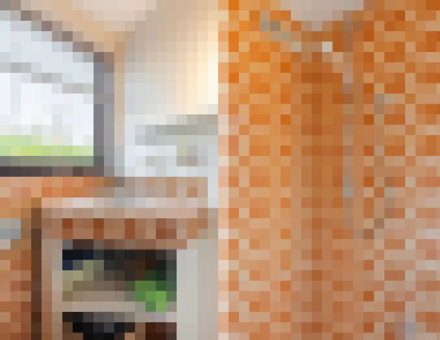 Dreef 26 Eersel thumbnail 47