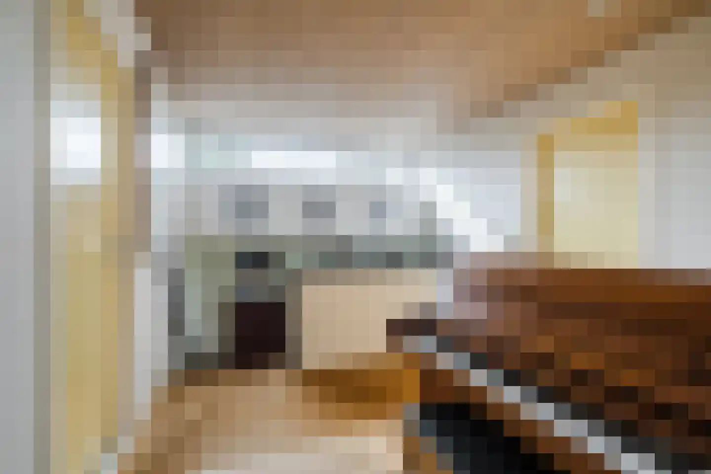 Dreef 26 Eersel thumbnail 48