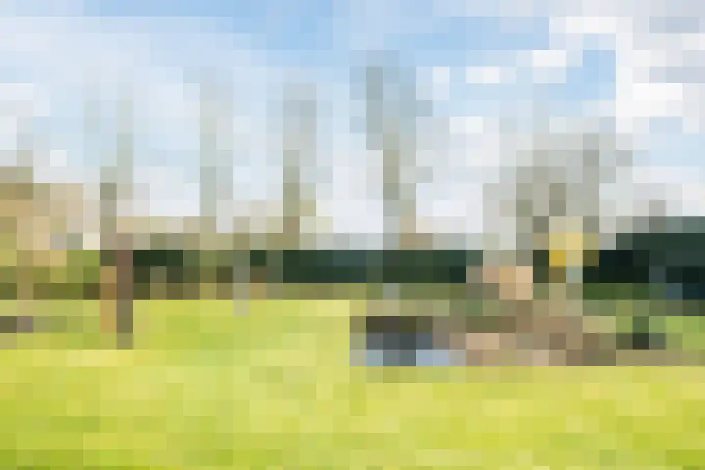 Dreef 26 Eersel thumbnail 52