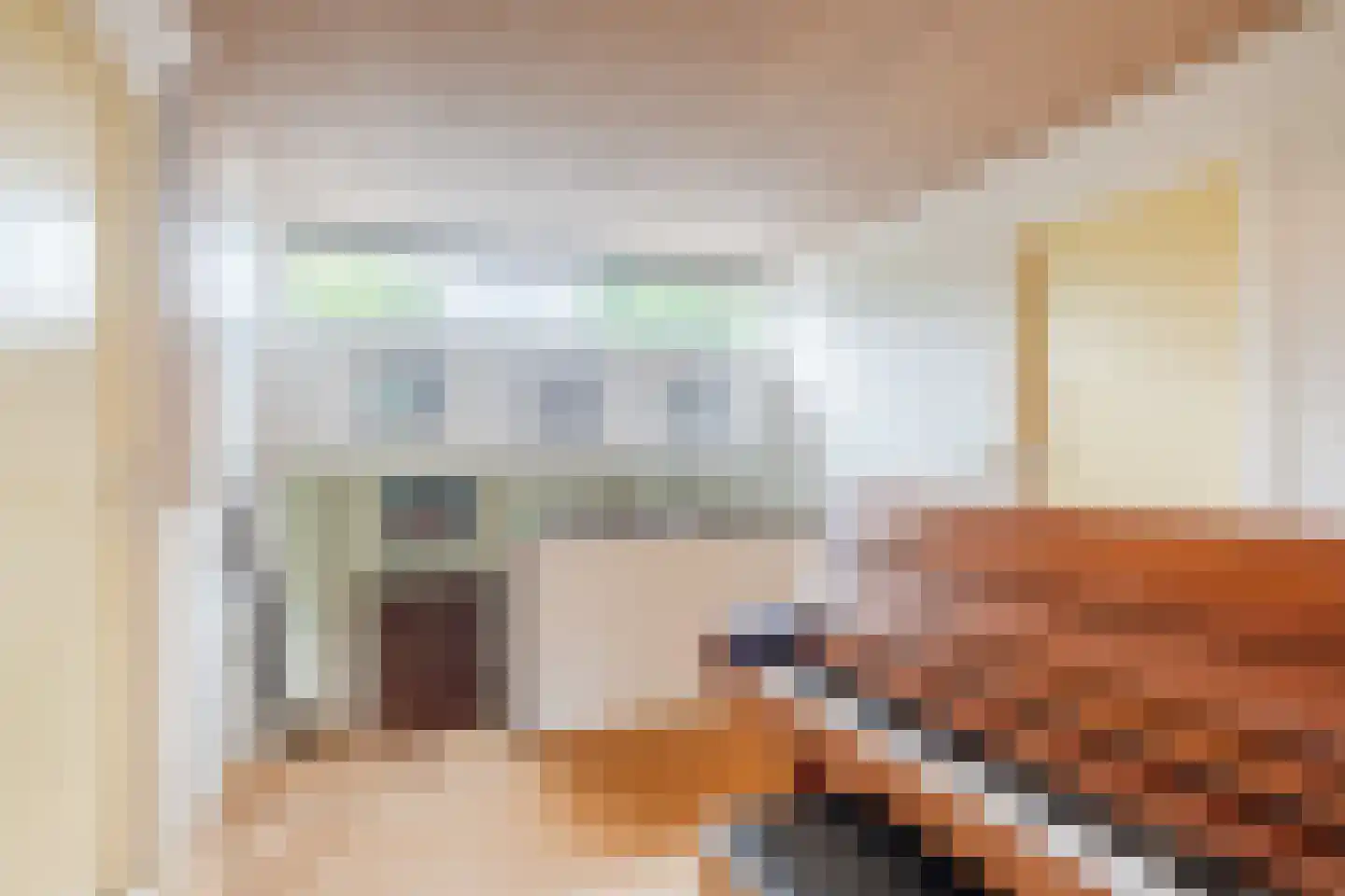 Dreef 26 Eersel thumbnail 52