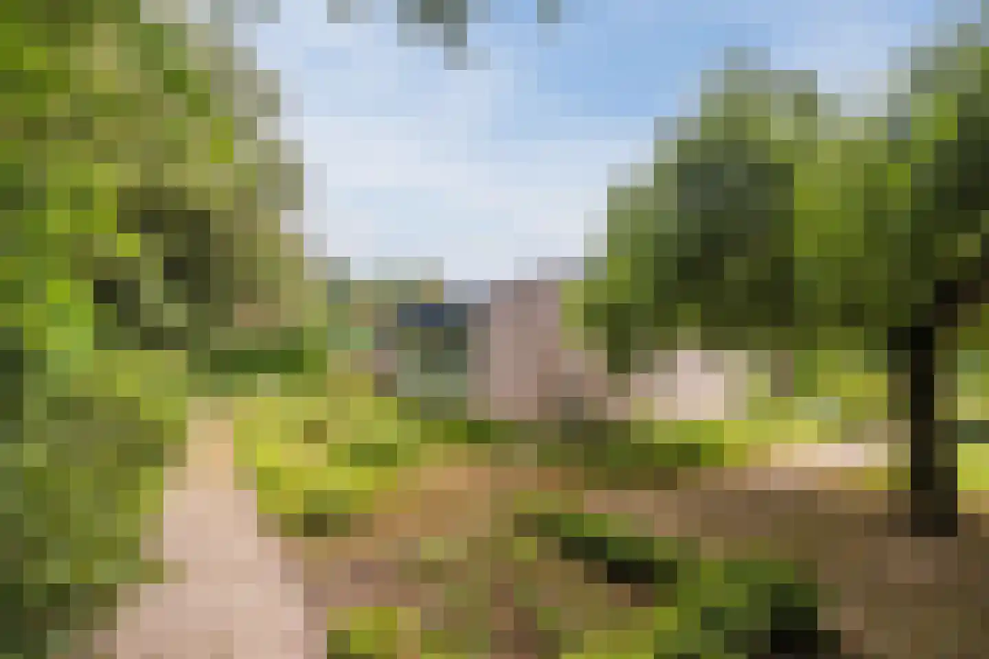 Dreef 26 Eersel thumbnail 54