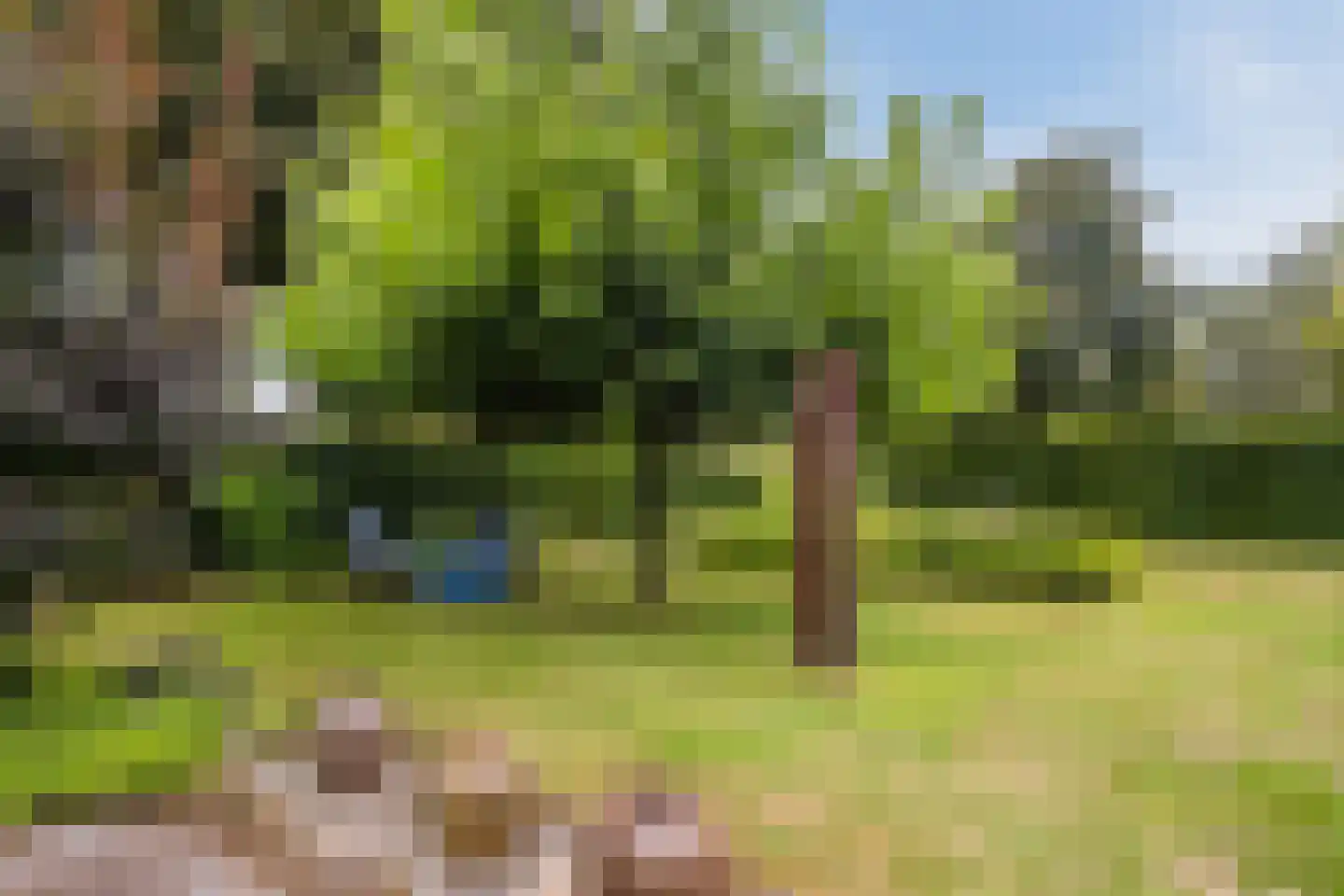 Dreef 26 Eersel thumbnail 56