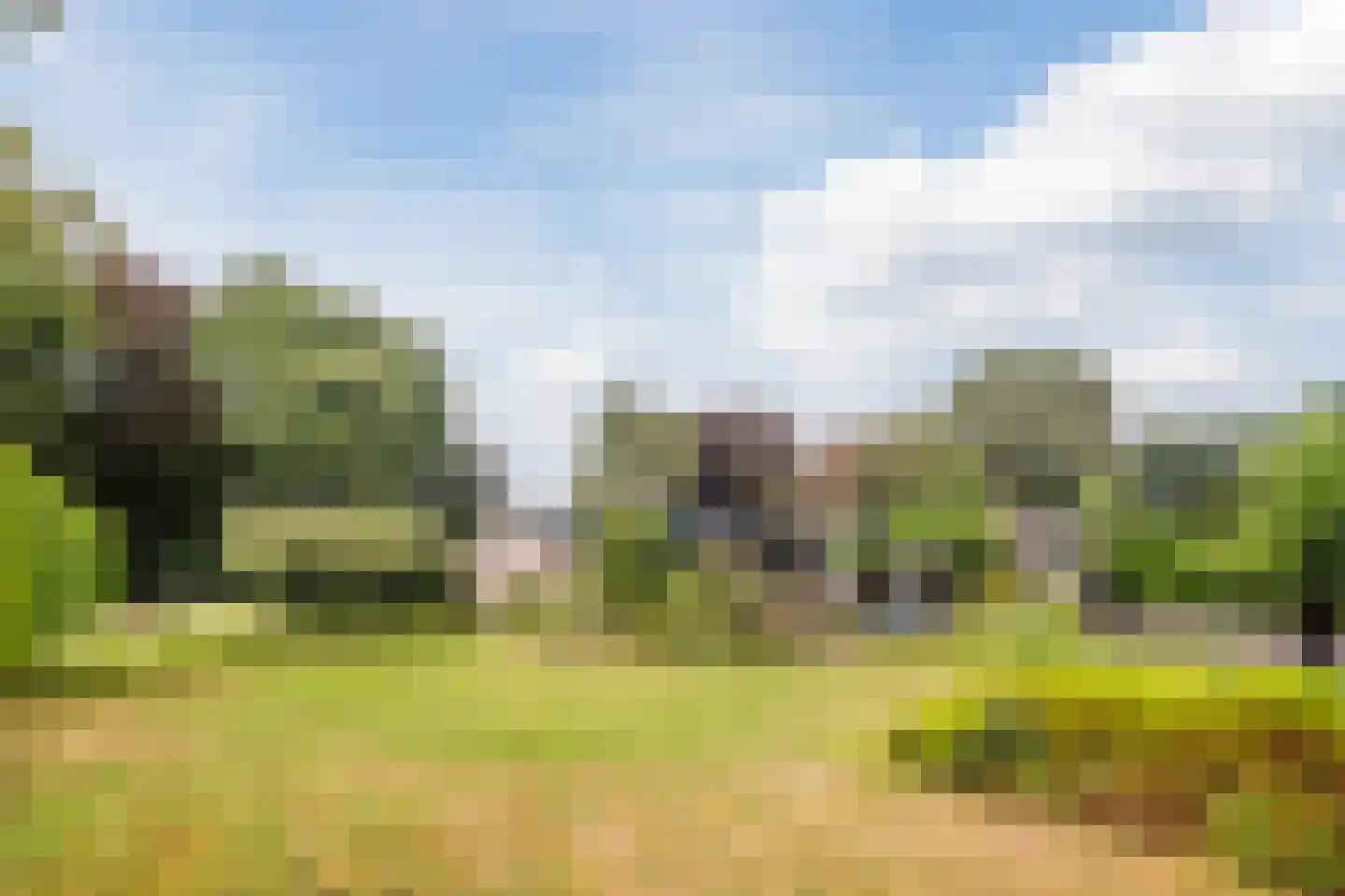 Dreef 26 Eersel thumbnail 58