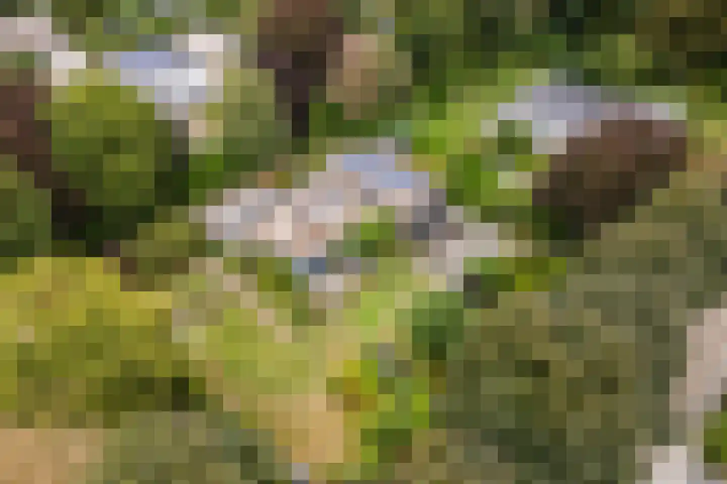 Dreef 26 Eersel thumbnail 6