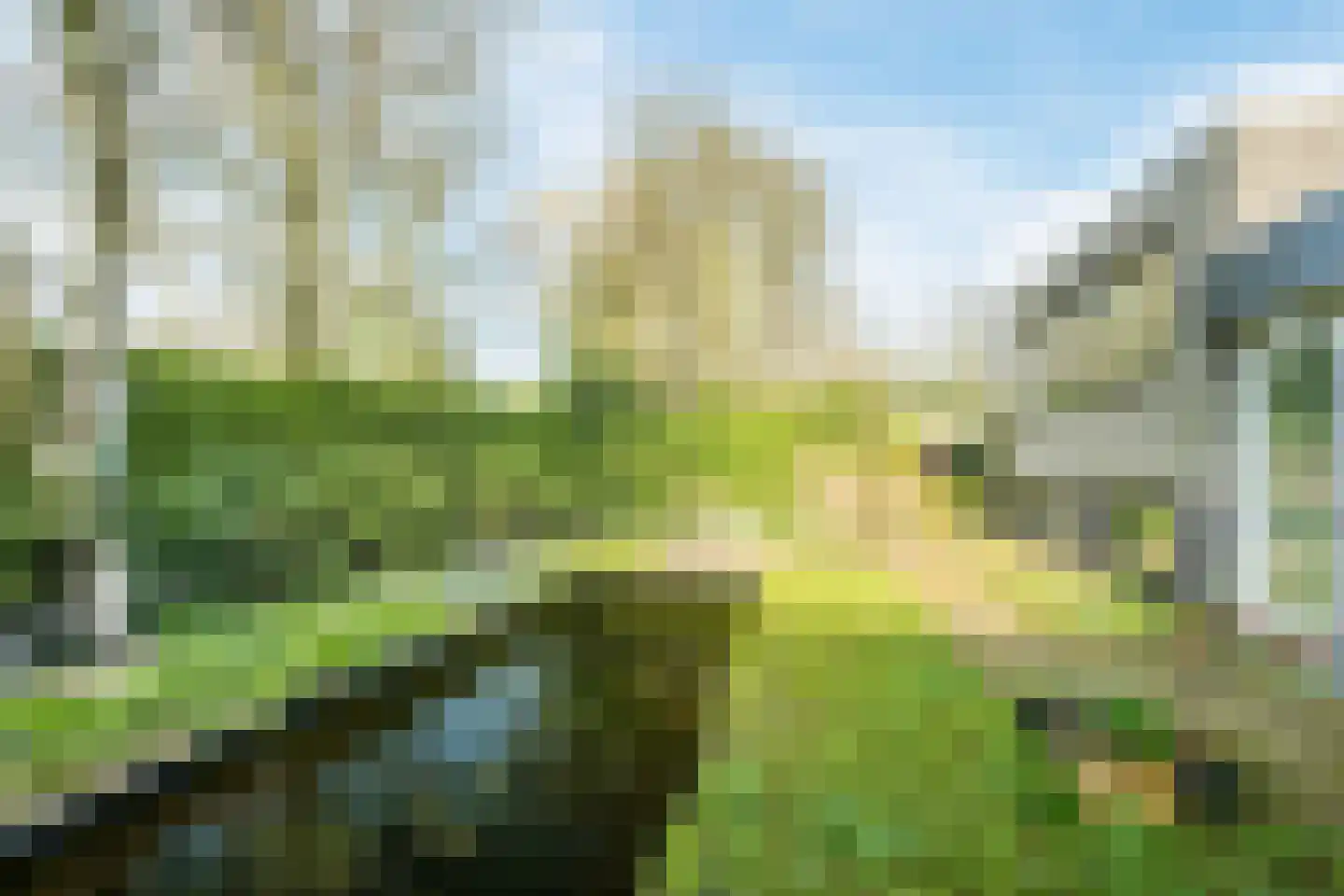 Dreef 26 Eersel thumbnail 61