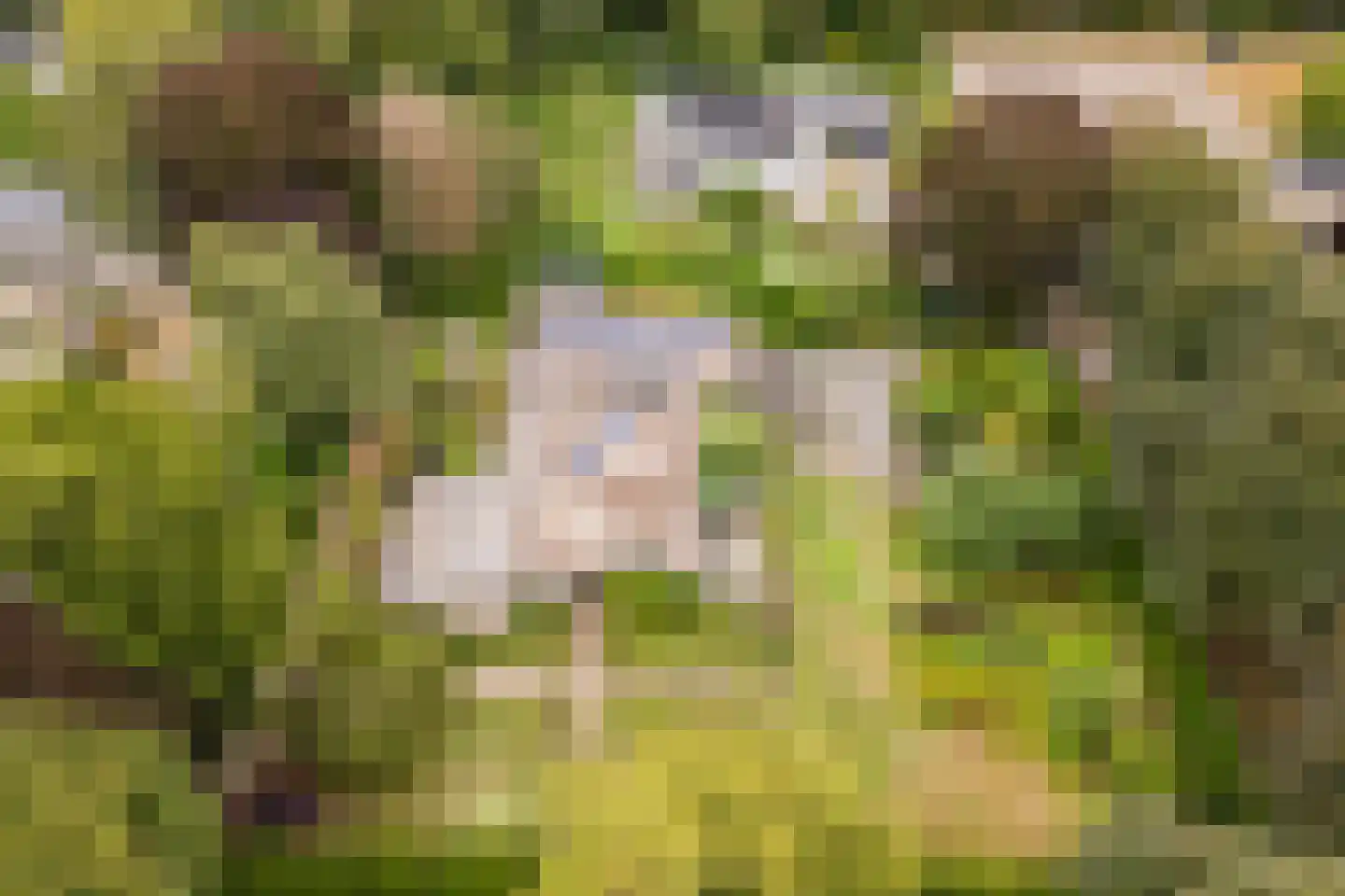 Dreef 26 Eersel thumbnail 62