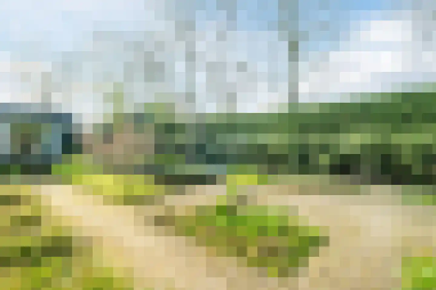 Dreef 26 Eersel thumbnail 63