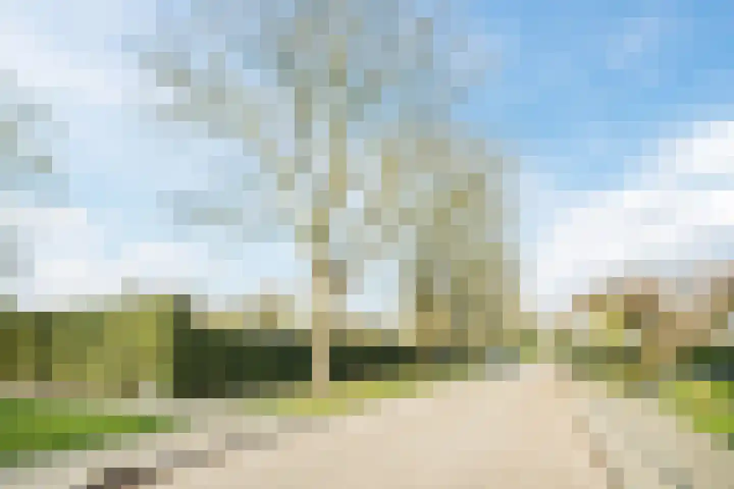 Dreef 26 Eersel thumbnail 65