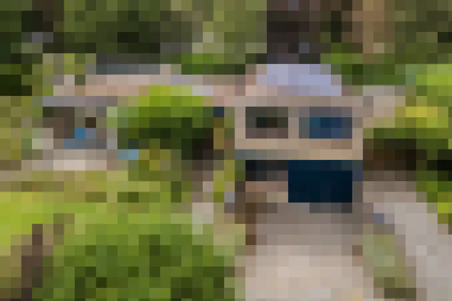 Dreef 26 Eersel thumbnail 8